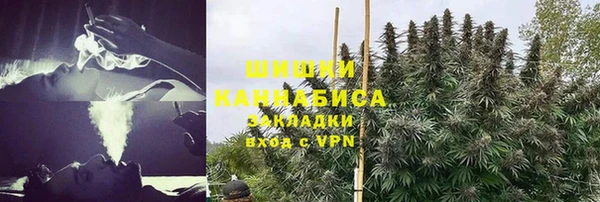 ГАЛЛЮЦИНОГЕННЫЕ ГРИБЫ Бородино